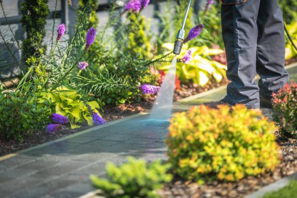 Professional Pressure Washing Services in Oakhurst, CA